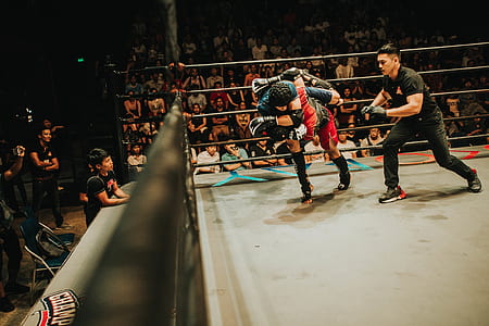 people, motion, stadium, game thumbnail