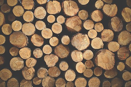 Pile of Wood thumbnail