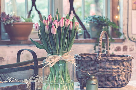 pink petaled flowers beside brown wicker basket thumbnail