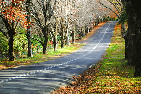 gray asphalt road thumbnail
