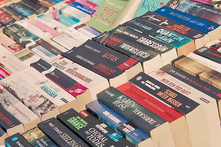 assorted-title novel book lot thumbnail
