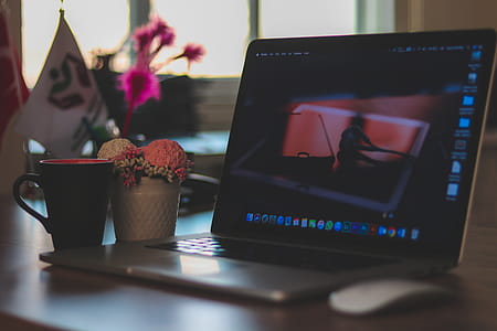 Turned on Laptop Computer on Table Near Black Mug and White Pot thumbnail