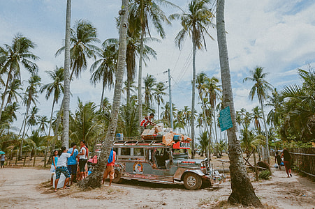 people standing near silver wrangler under coconut tree thumbnail