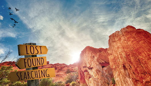 Lost Found Searching wooden signage and brown rock structure thumbnail