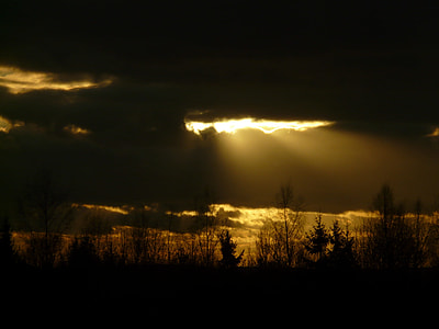 silhouette photo of trees and black clouds thumbnail