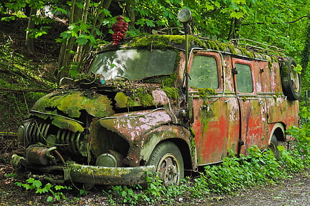 ruined red vehicle in the middle of the forest thumbnail