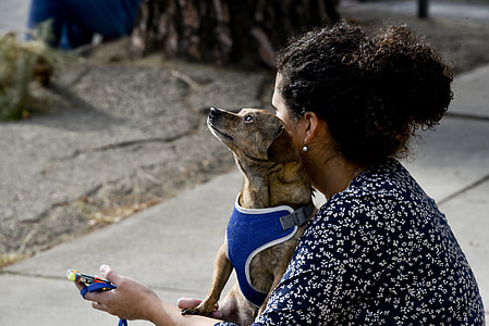 selective focus photography of woman carrying short-coated brown dog during daytime thumbnail