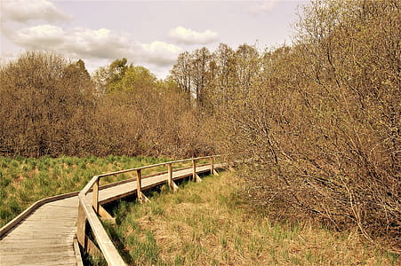 light, road, landscape, nature thumbnail