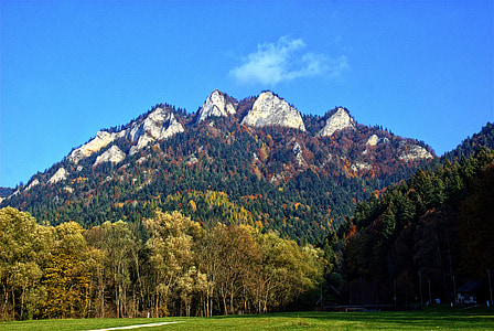 white and green mountain and green trees thumbnail
