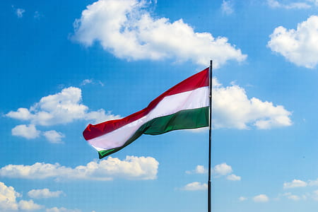 white, red ,and green flag on pole thumbnail