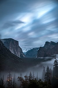 tree at distance to mountains during fog thumbnail