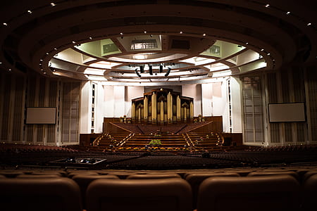 brown leather chairs thumbnail