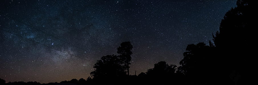 panoramic photo of trees during daytime thumbnail