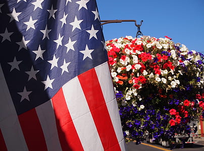 flag of United States of America near bushes of flowers thumbnail