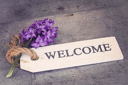 purple hyacinth flower beside welcome signage thumbnail