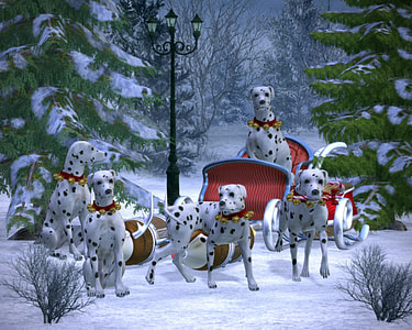 Several Dalmatians Pulling a Christmas Sleigh thumbnail
