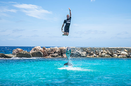 man jumping over dolphin during daytime thumbnail