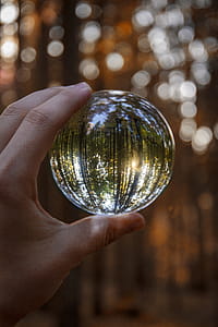 Closeup Photography of Person Holding Glass Globe thumbnail