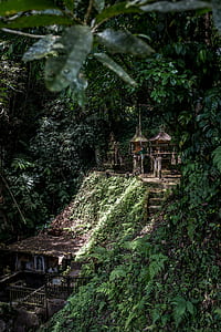 brown wooden house between forest at daytime thumbnail