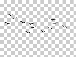 Bird flight Bird flight Flock Bird migration, Birds Pic PNG clipart