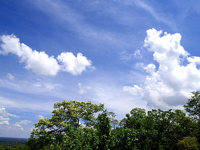 nature, sky, clouds, trees thumbnail