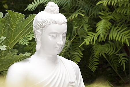 shallow focus photography of Gautama Buddha statue near plants thumbnail