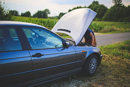 person fixing silver BMW vehicle beside the road in distant of trees thumbnail