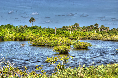 Water, Cape Canaveral thumbnail