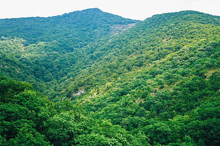 green mountain during daytime thumbnail