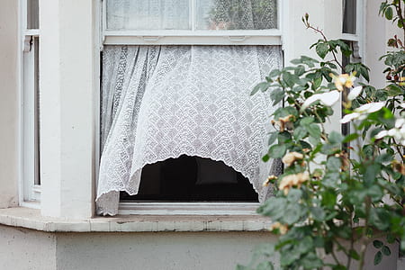 closeup photo of white lace window curtain thumbnail