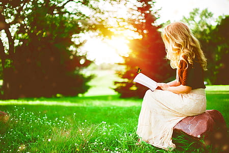 woman in brown half-sleeved top and white skirt sitting on brown rock in green grass field thumbnail