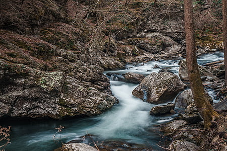 river beside trees thumbnail