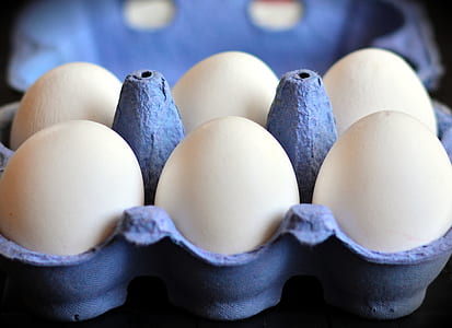 close-up photo of six white egg on gray egg tray thumbnail