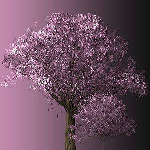 purple leaf tree in close-up photography thumbnail