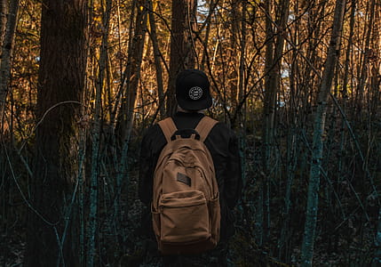 Photo of a Person at the Forest thumbnail