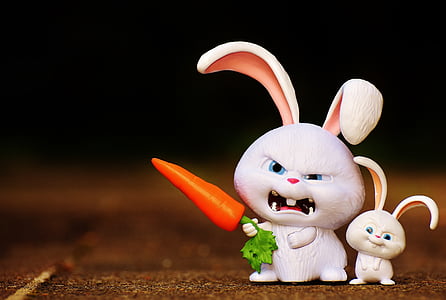 two white rabbits illustration thumbnail