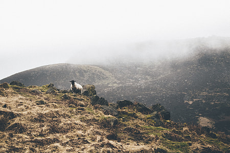 landscape photography of mountain thumbnail