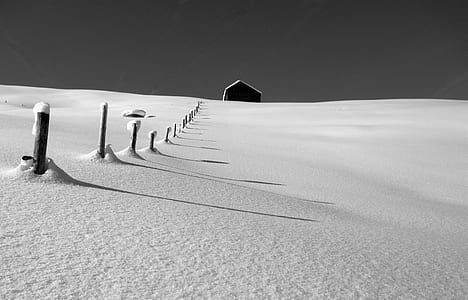 grayscale photography of wooden fence near house thumbnail