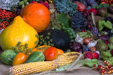 assorted gourds and vegetables thumbnail