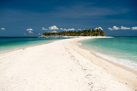 seashore near on body of water thumbnail