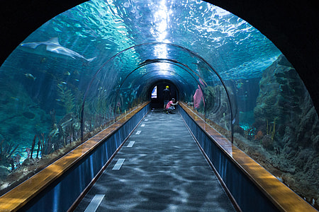 clear glass underwater cave thumbnail