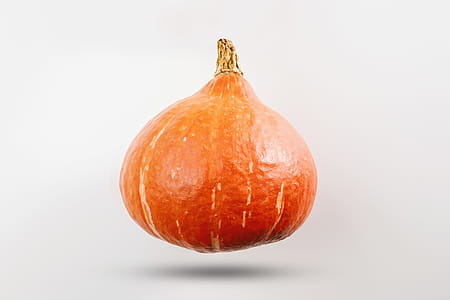 Pumpkin on white background thumbnail