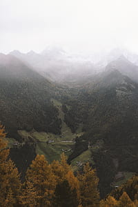 photo of forest covered valley with mist thumbnail