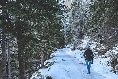 woman walking on snowfield surrounded by trees thumbnail