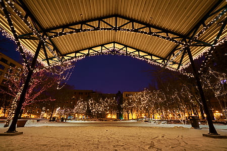 Photo of the Trees Covered with Christmas Lights thumbnail