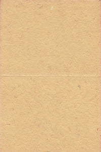paper, texture, brown, raw, light, brush thumbnail