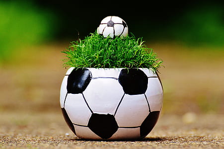 White and Black Soccer Ball Theme Plant Pot thumbnail