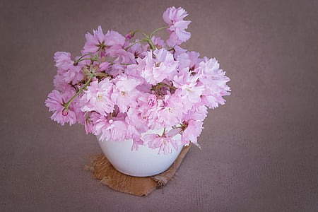 pink flowers in white vase thumbnail