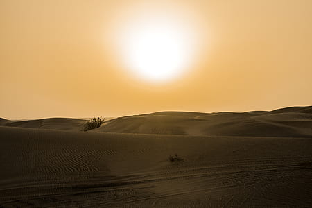 Desert Under Yellow Sunset thumbnail