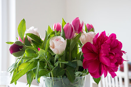 pink and white flowers in clear glass vase thumbnail